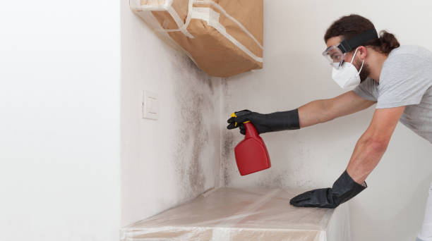Professional Crawl Space Mold Remediation technician working in Massapequa, NY